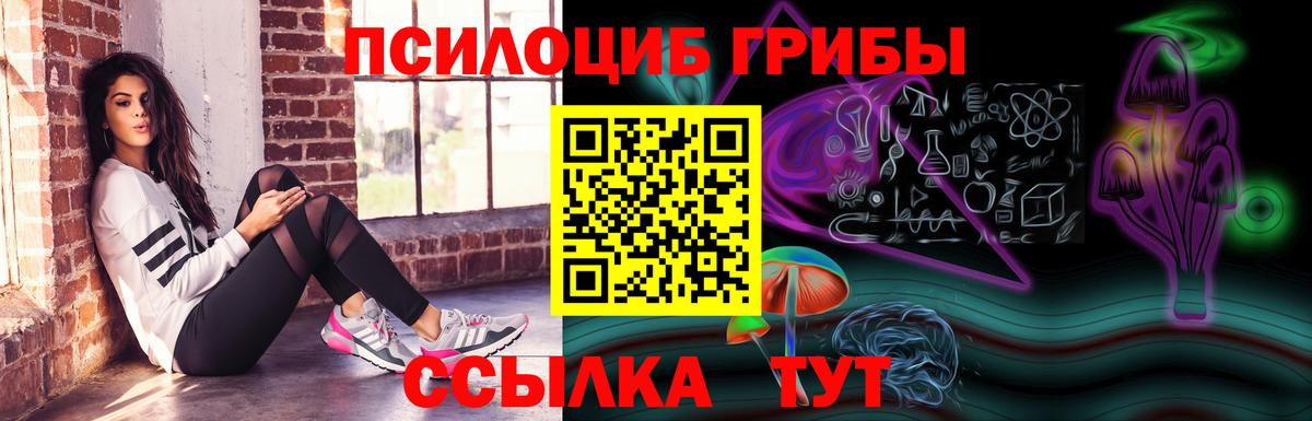 Галлюциногенные грибы прущие грибы  Вход с VPN  Норильск  Галлюциногенные грибы прущие грибы 